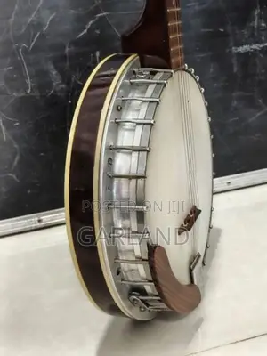 PIRLES Banjo-Guitar