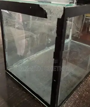 2 Feet Fish Tank
