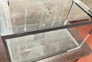 2 Feet Fish Tank
