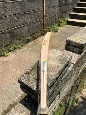 SS Cricket Bat