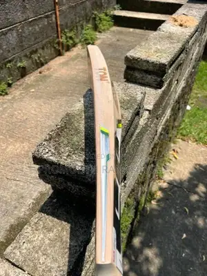 SS Cricket Bat