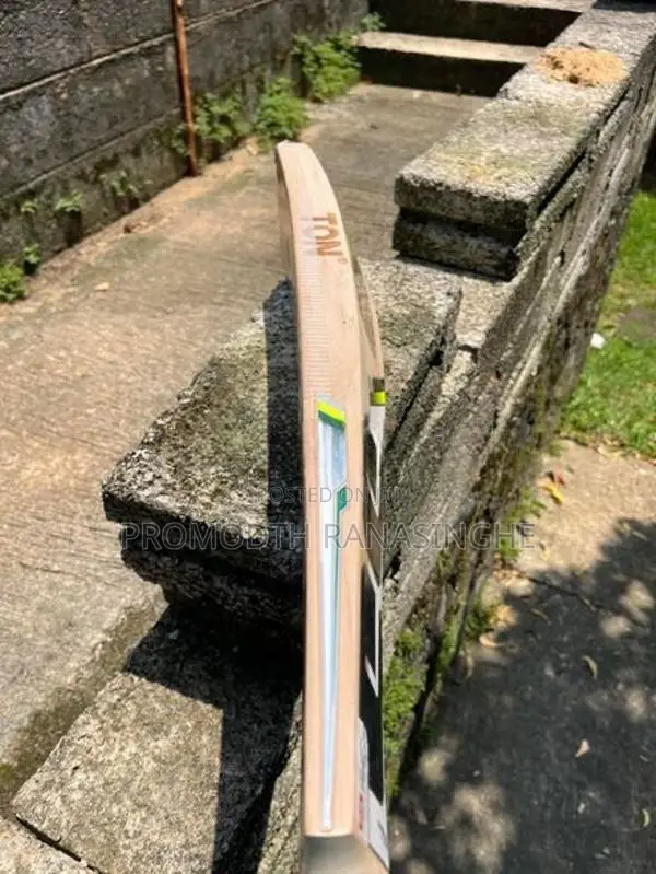 SS Cricket Bat