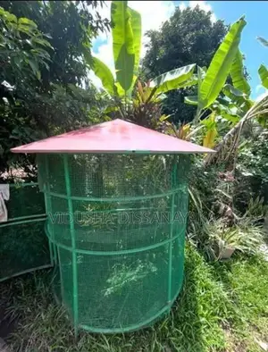 Large Round Birds Cage