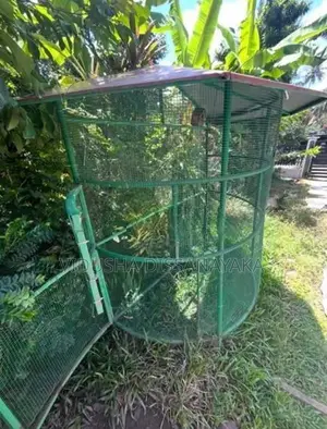 Large Round Birds Cage