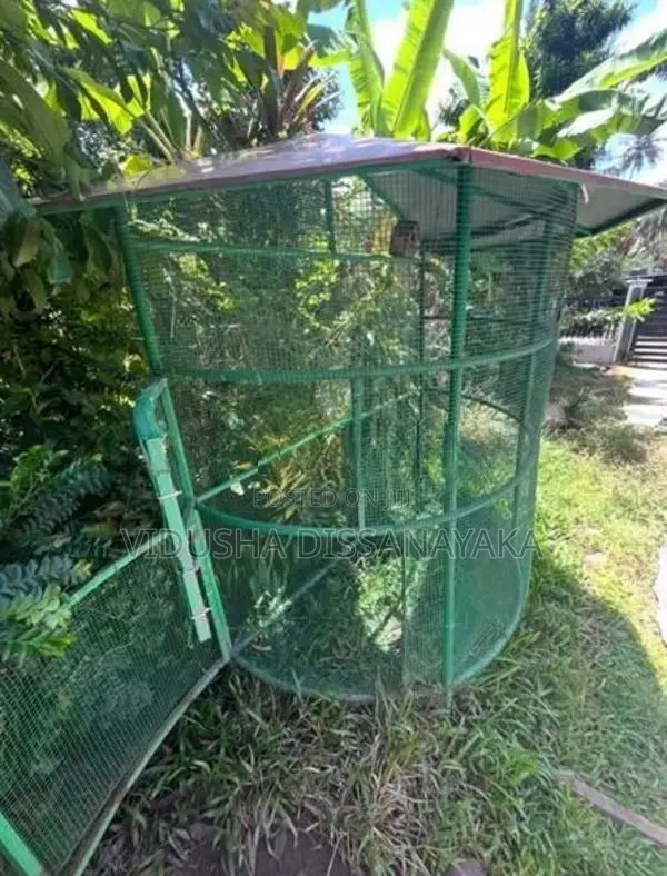 Large Round Birds Cage