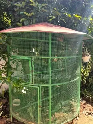 Large Round Birds Cage