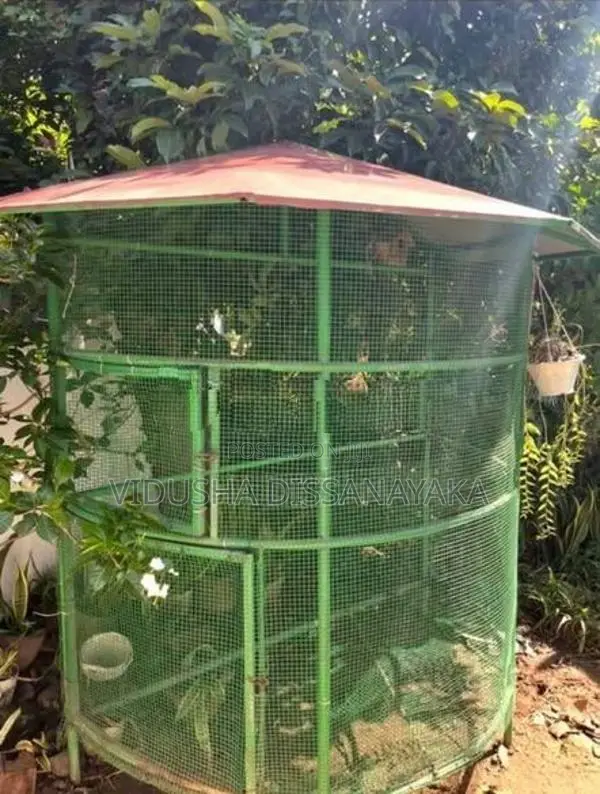 Large Round Birds Cage