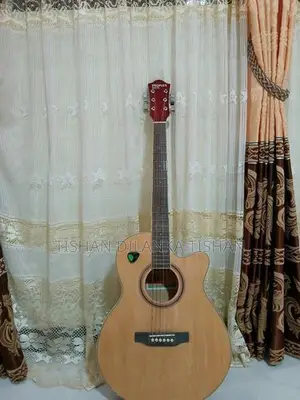 Guitar - String Instrument / Amplifier