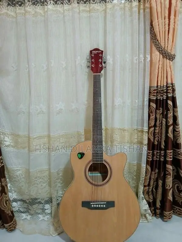 Guitar - String Instrument / Amplifier