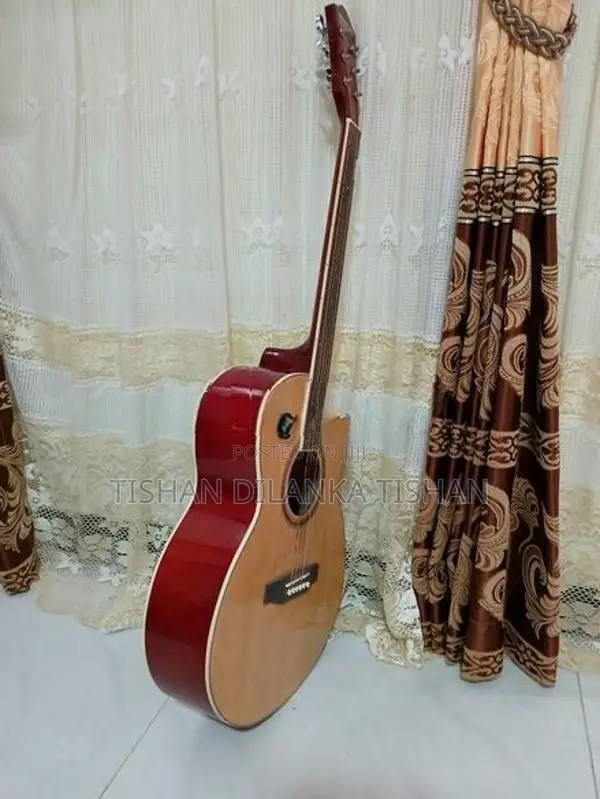 Guitar - String Instrument / Amplifier