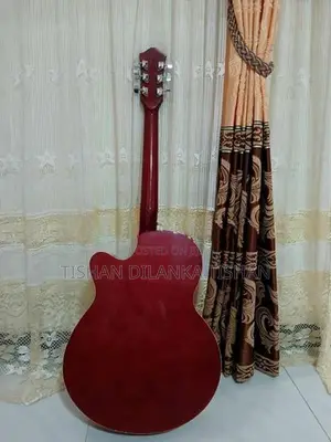 Guitar - String Instrument / Amplifier