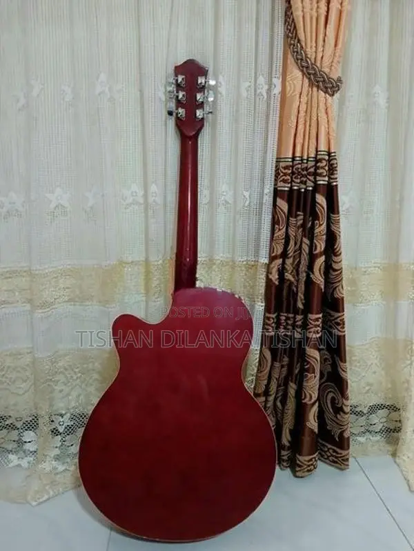 Guitar - String Instrument / Amplifier