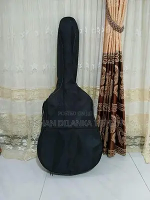 Guitar - String Instrument / Amplifier
