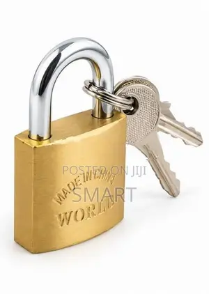 World Polished Brass Padlock- 25MM