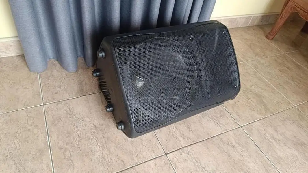 12 Behringer Speaker