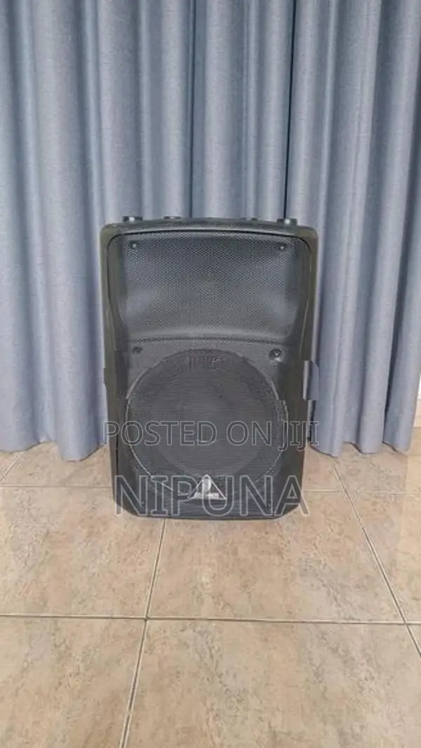 12 Behringer Speaker