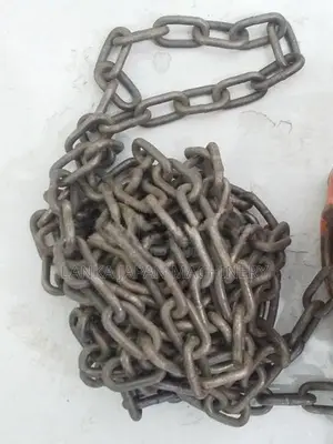 Chain Block 500kg