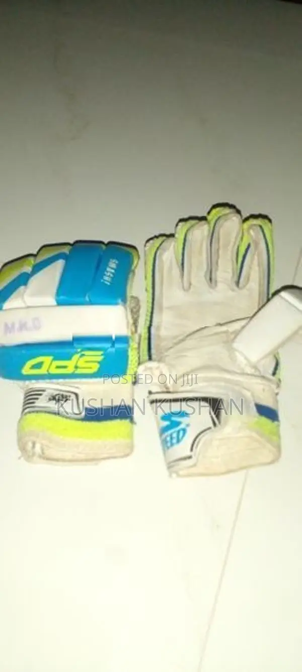 Cricket Set