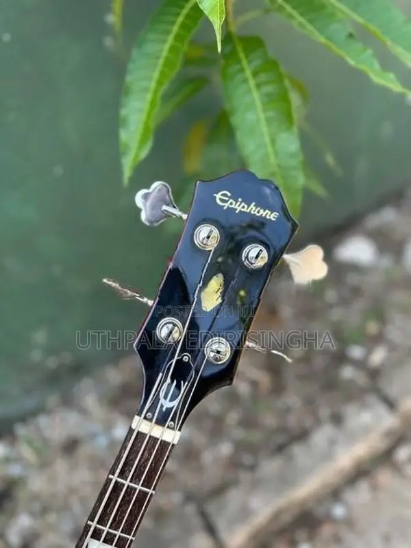 Bass Guitar