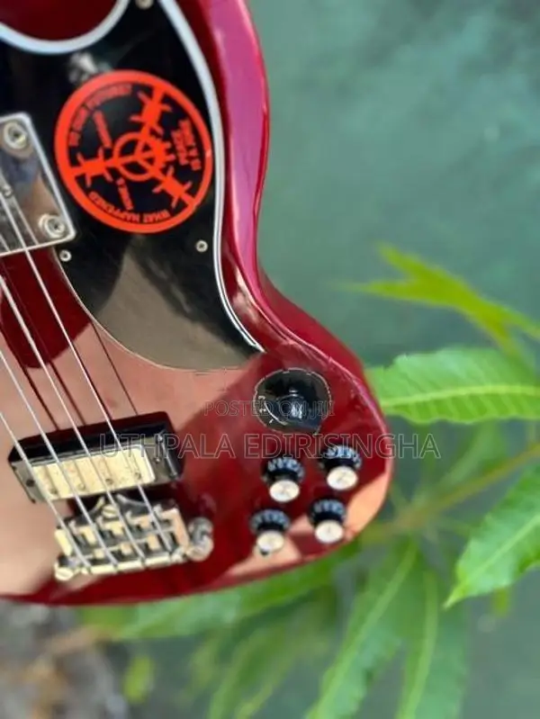 Bass Guitar