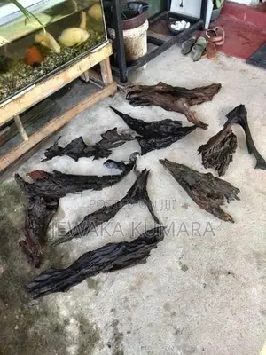 Wood Wikinimata