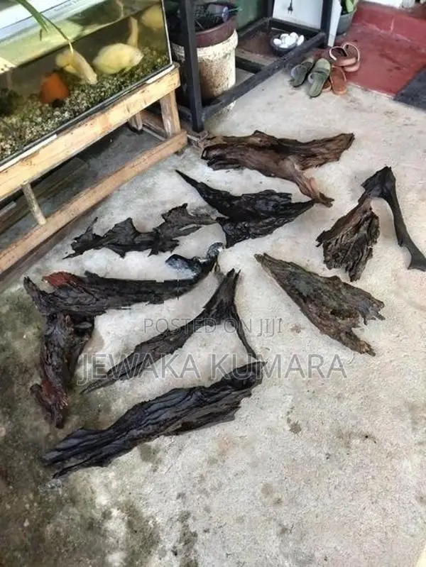 Wood Wikinimata