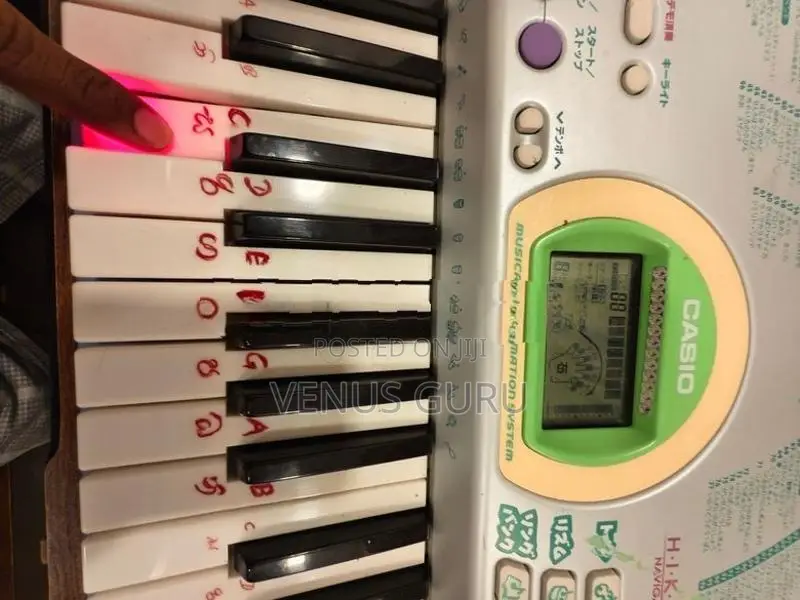 Casio lk-102 Organ