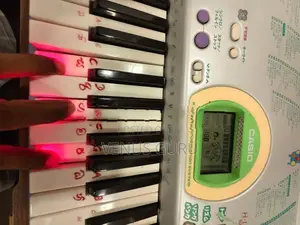Casio lk-102 Organ