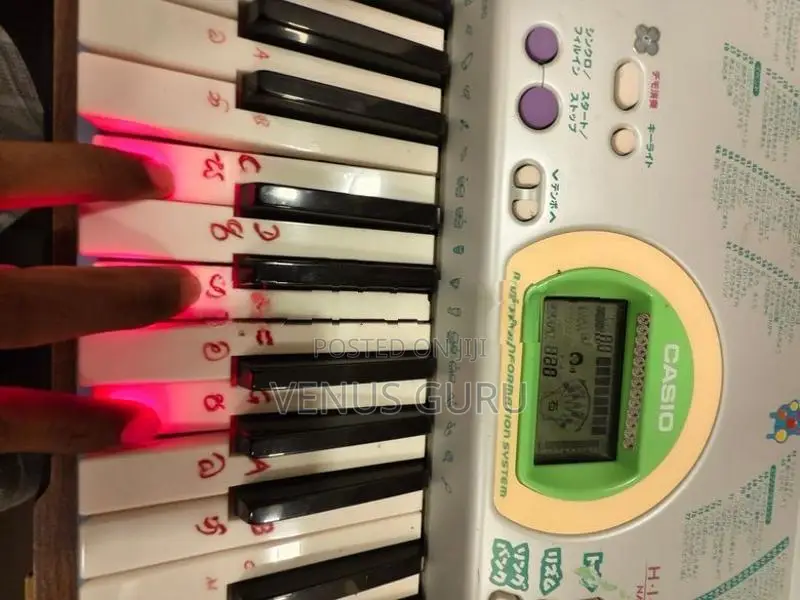 Casio lk-102 Organ