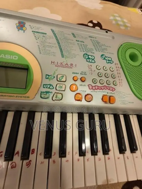 Casio lk-102 Organ