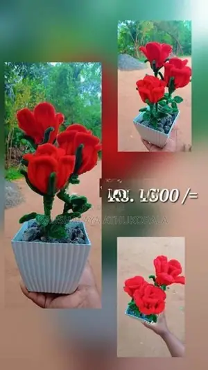 ලස්සන නිවසක්