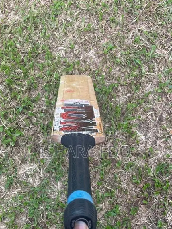 Ss Bat