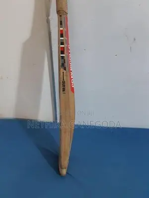 Gray-Nicolls English Willow Bat