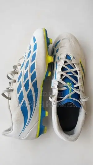 Adida's Predator Club FG/MG