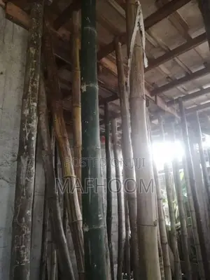 Plywood Satalim