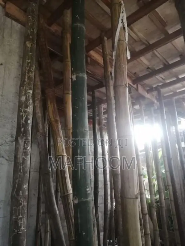 Plywood Satalim