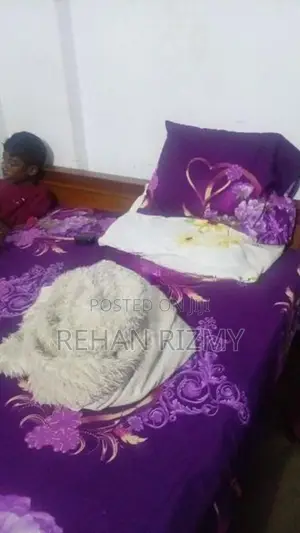 Teak Box Bed Triple