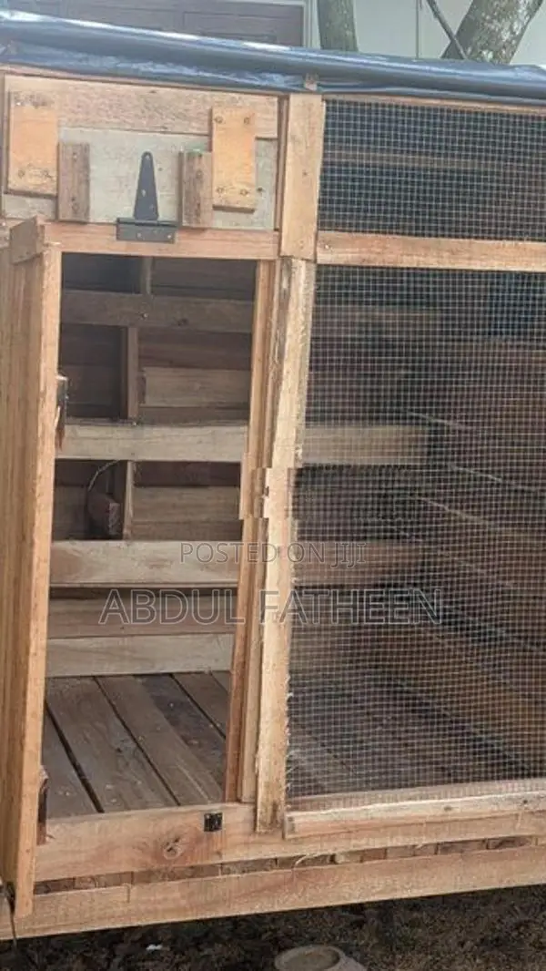Pigeon Cage 2 In 1