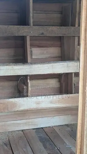 Pigeon Cage 2 In 1