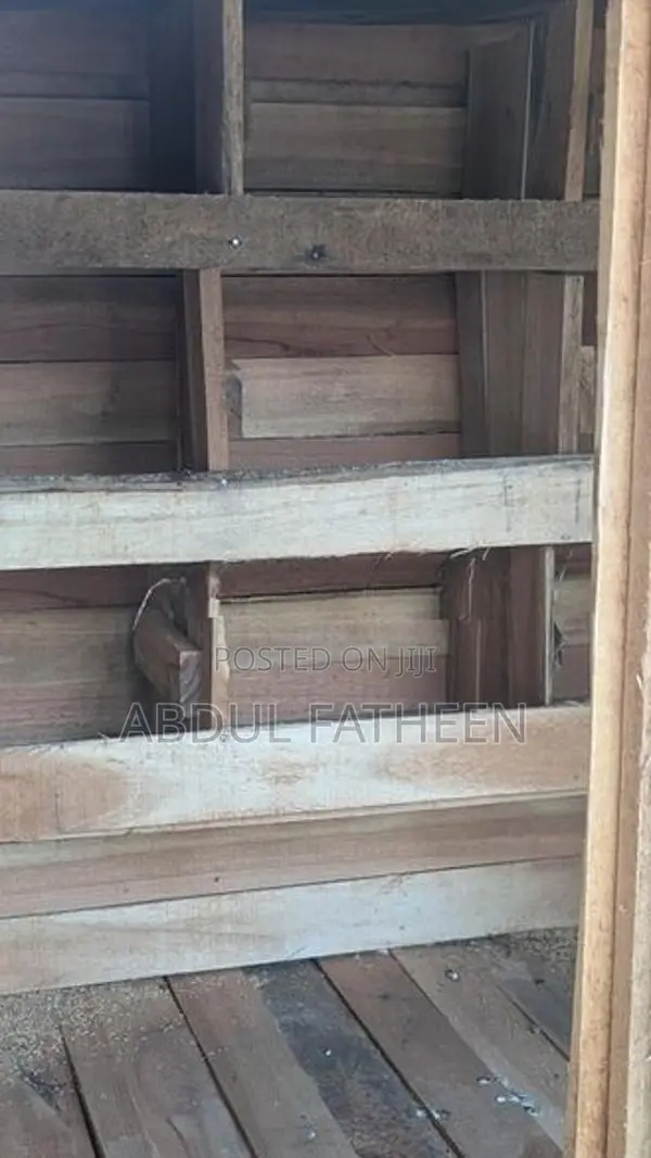 Pigeon Cage 2 In 1
