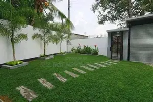 Malaysian Grass