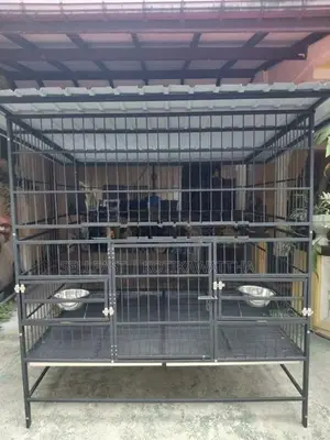 Dog Cages
