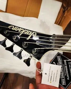 Bass Guitar - String Instrument / Amplifier
