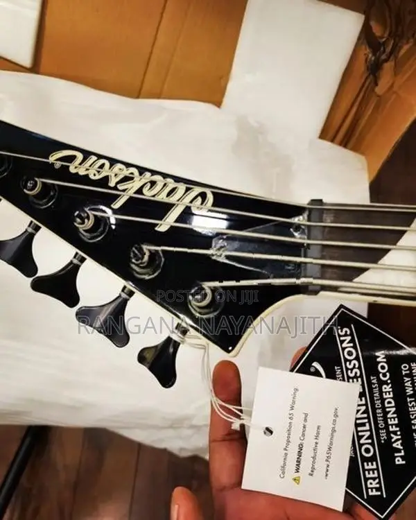 Bass Guitar - String Instrument / Amplifier