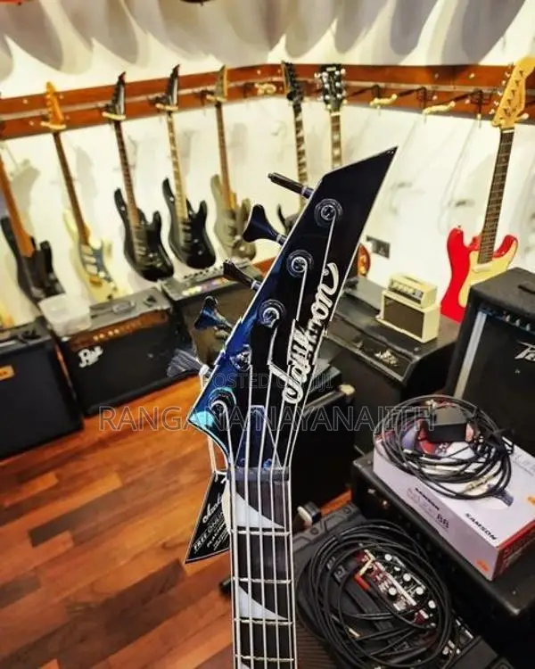 Bass Guitar - String Instrument / Amplifier