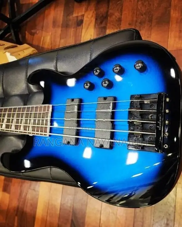 Bass Guitar - String Instrument / Amplifier