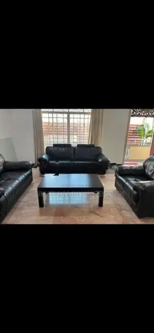 Damro Black Sofa