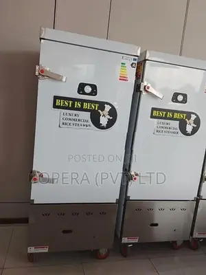 Gas Steamer Tray 42 Kg