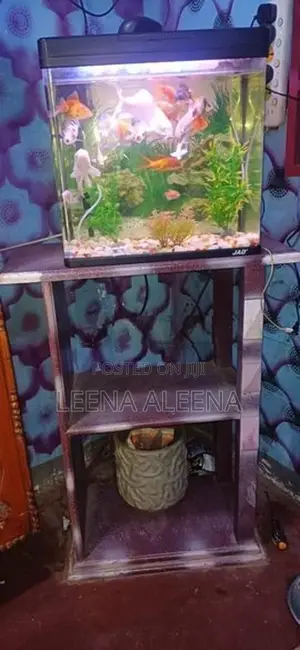 Fish Tank