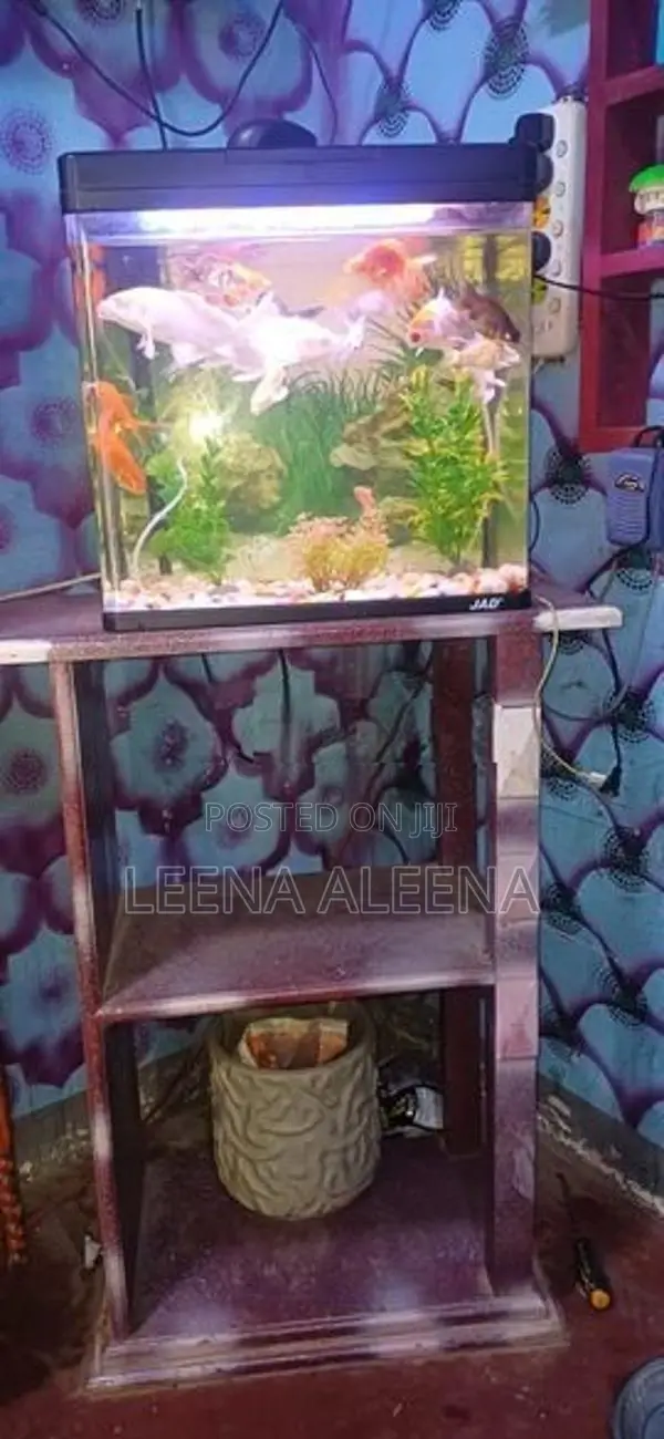 Fish Tank